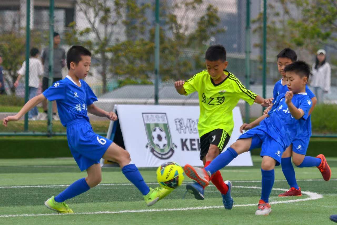 关注的案例 关注的案例